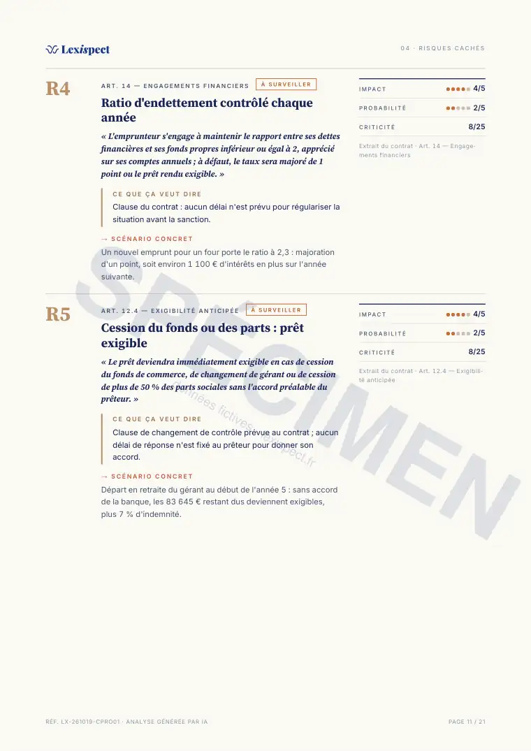 Page 11 du rapport Prêt professionnel, spécimen